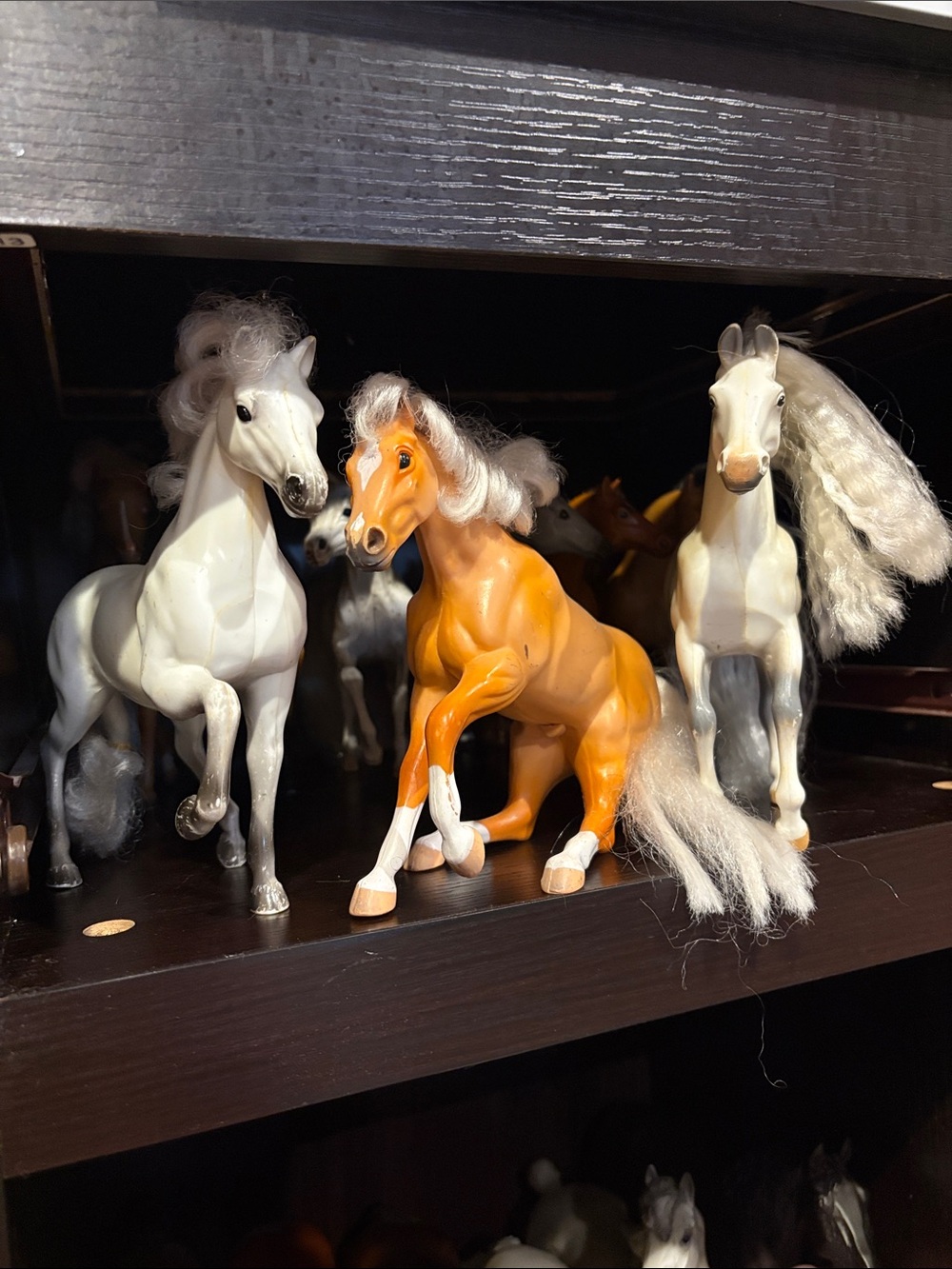 Grand Champion Horses